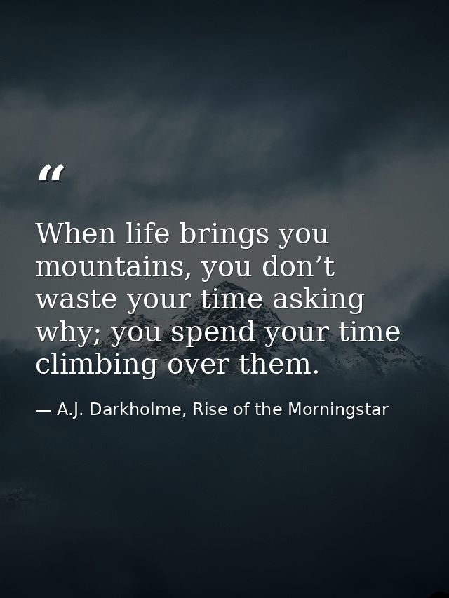 When life brings you mountains, you don’t waste your time asking why; you spend your time climbing over them. — A.J. Darkholme, Rise of the Morningstar