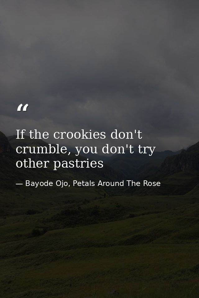 If the crookies don't crumble, you don't try other pastries — Bayode Ojo, Petals Around The Rose