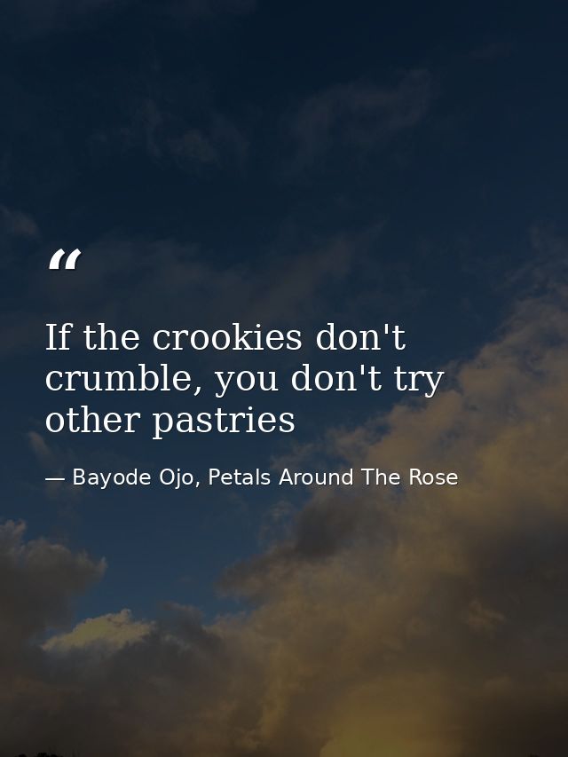 If the crookies don't crumble, you don't try other pastries — Bayode Ojo, Petals Around The Rose