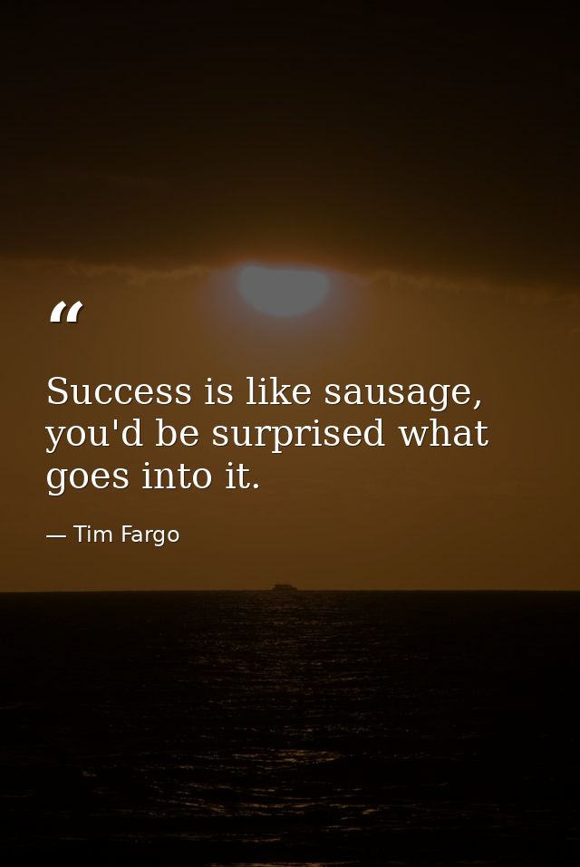 Success is like sausage, you'd be surprised what goes into it. — Tim Fargo