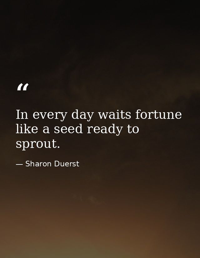 In every day waits fortune like a seed ready to sprout. — Sharon Duerst