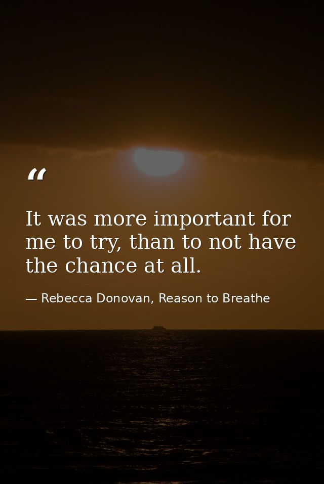 It was more important for me to try, than to not have the chance at all. — Rebecca Donovan, Reason to Breathe