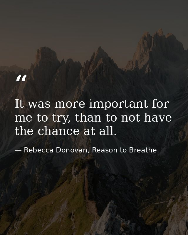 It was more important for me to try, than to not have the chance at all. — Rebecca Donovan, Reason to Breathe
