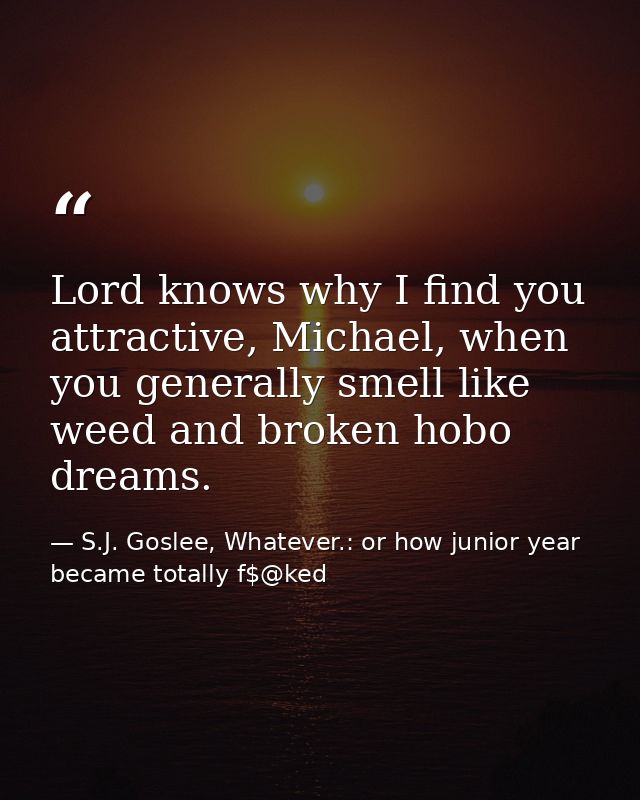 Lord knows why I find you attractive, Michael, when you generally smell like weed and broken hobo dreams. — S.J. Goslee, Whatever.: or how junior year became totally f$@ked