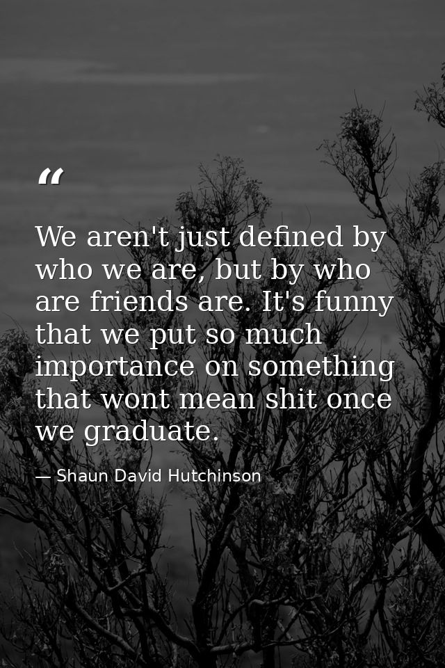 We aren't just defined by who we are, but by who are friends are. It's funny that we put so much importance on something — Shaun David Hutchinson