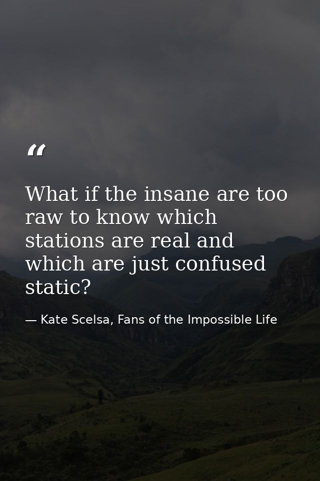 What if the insane are too raw to know which stations are real and which are just confused static? — Kate Scelsa, Fans of the Impossible Life
