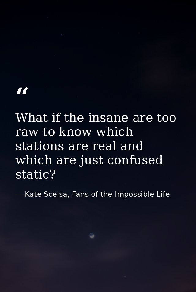 What if the insane are too raw to know which stations are real and which are just confused static? — Kate Scelsa, Fans of the Impossible Life