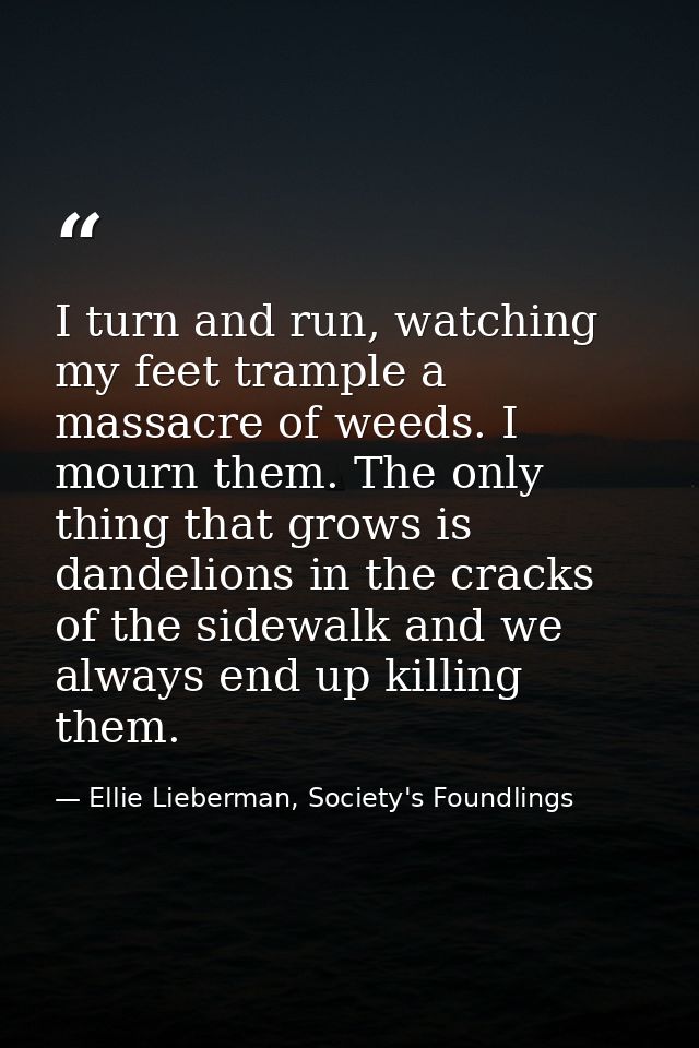 I turn and run, watching my feet trample a massacre of weeds. I mourn them. The only thing that grows is dandelions in t — Ellie Lieberman, Society's Foundlings