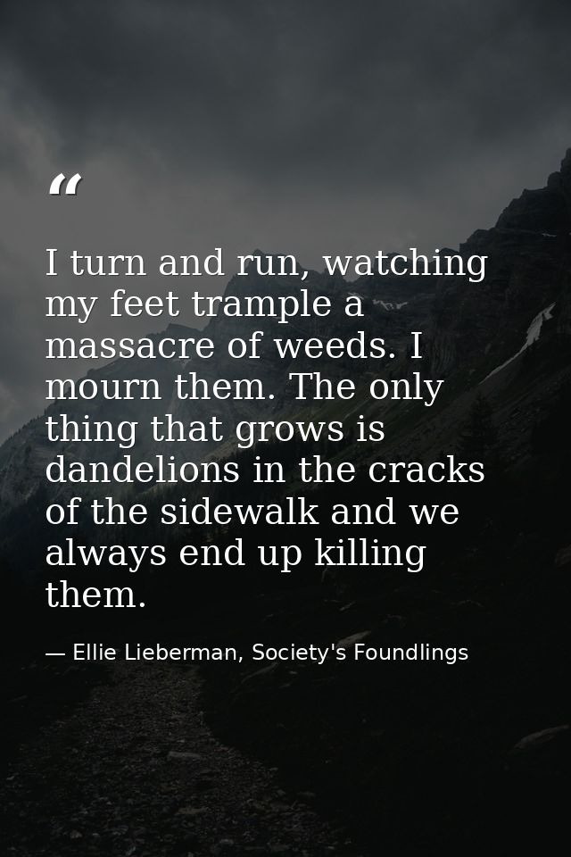 I turn and run, watching my feet trample a massacre of weeds. I mourn them. The only thing that grows is dandelions in t — Ellie Lieberman, Society's Foundlings