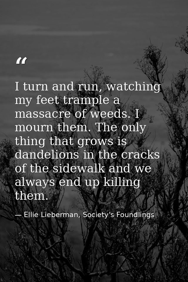 I turn and run, watching my feet trample a massacre of weeds. I mourn them. The only thing that grows is dandelions in t — Ellie Lieberman, Society's Foundlings