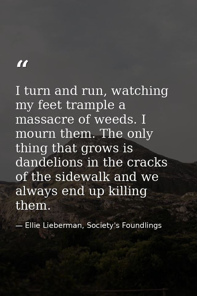 I turn and run, watching my feet trample a massacre of weeds. I mourn them. The only thing that grows is dandelions in t — Ellie Lieberman, Society's Foundlings