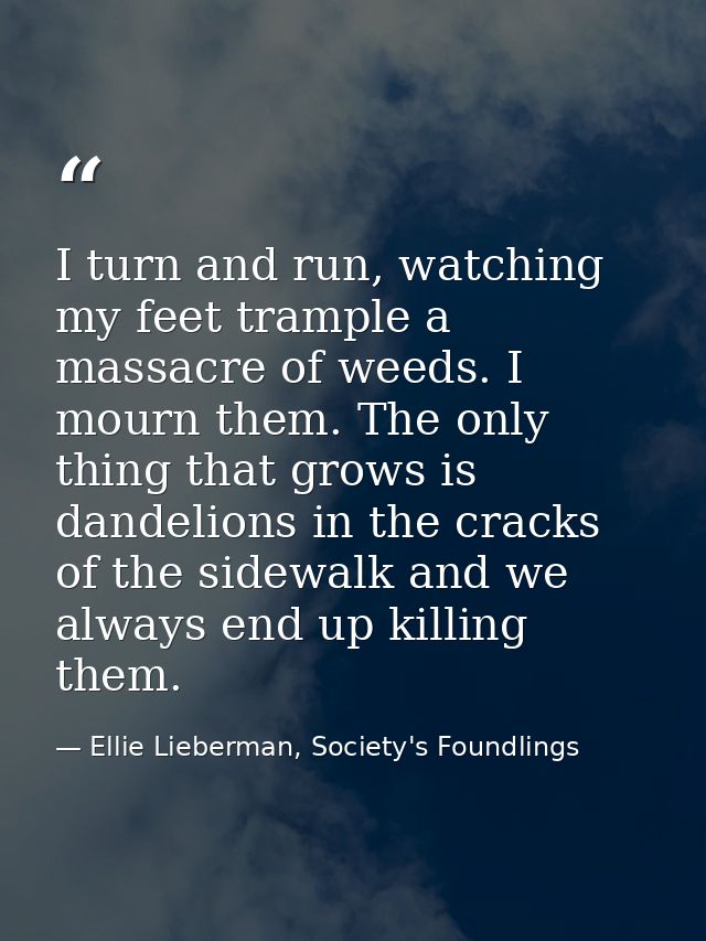 I turn and run, watching my feet trample a massacre of weeds. I mourn them. The only thing that grows is dandelions in t — Ellie Lieberman, Society's Foundlings