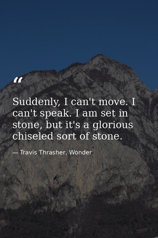 Suddenly, I can't move. I can't speak. I am set in stone, but it's a glorious chiseled sort of stone. — Travis Thrasher, Wonder