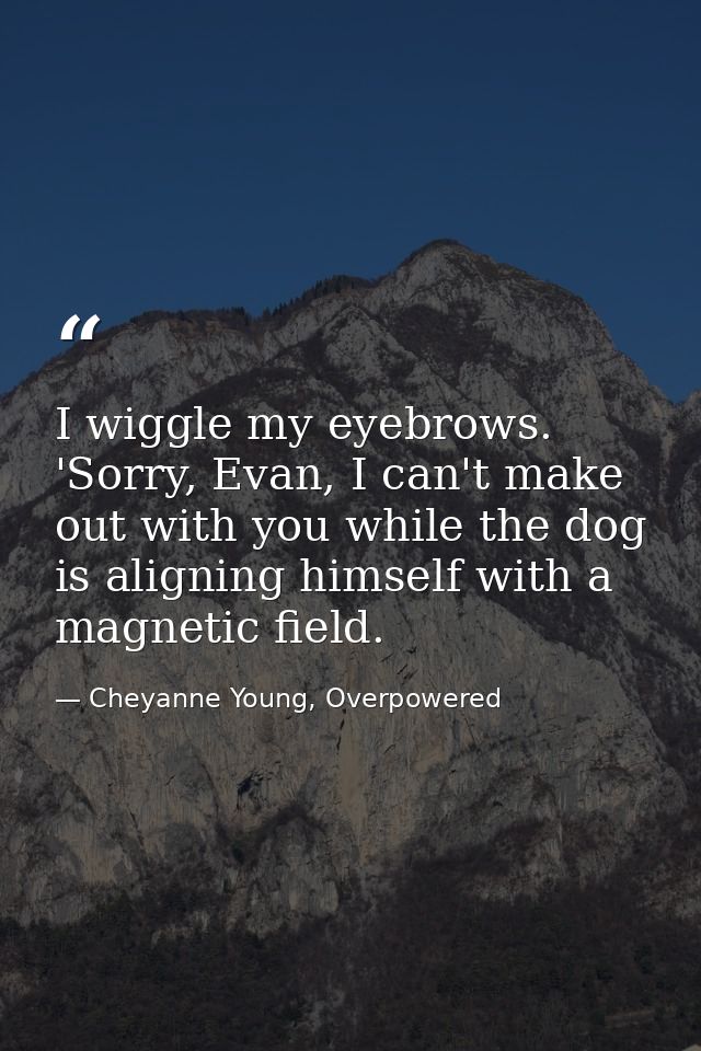 I wiggle my eyebrows. 'Sorry, Evan, I can't make out with you while the dog is aligning himself with a magnetic field. — Cheyanne Young, Overpowered