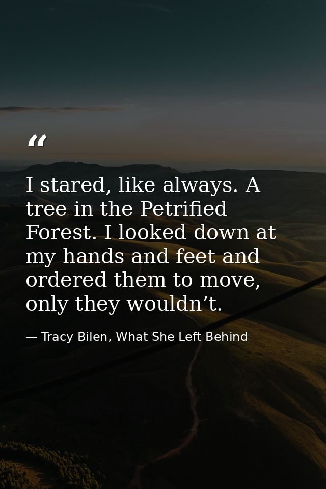 I stared, like always. A tree in the Petrified Forest. I looked down at my hands and feet and ordered them to move, only — Tracy Bilen, What She Left Behind