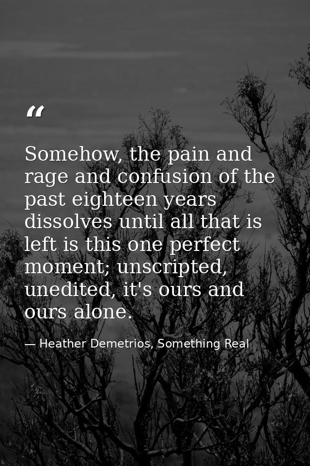 Somehow, the pain and rage and confusion of the past eighteen years dissolves until all that is left is this one perfect — Heather Demetrios, Something Real