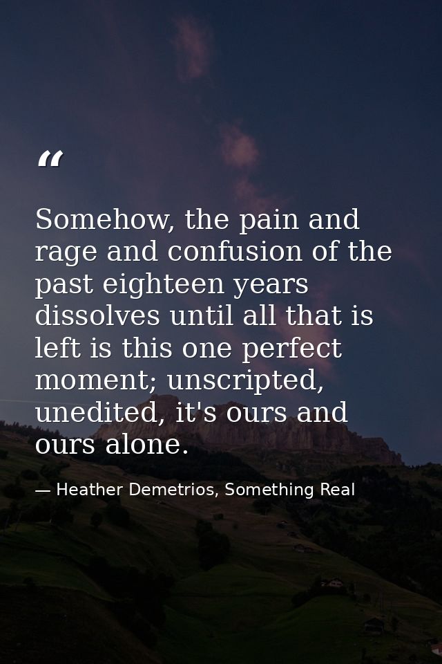 Somehow, the pain and rage and confusion of the past eighteen years dissolves until all that is left is this one perfect — Heather Demetrios, Something Real