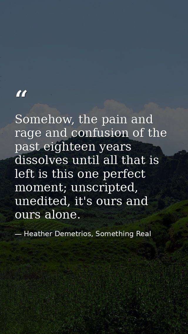Somehow, the pain and rage and confusion of the past eighteen years dissolves until all that is left is this one perfect — Heather Demetrios, Something Real