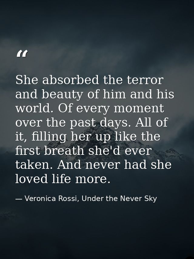 She absorbed the terror and beauty of him and his world. Of every moment over the past days. All of it, filling her up l — Veronica Rossi, Under the Never Sky