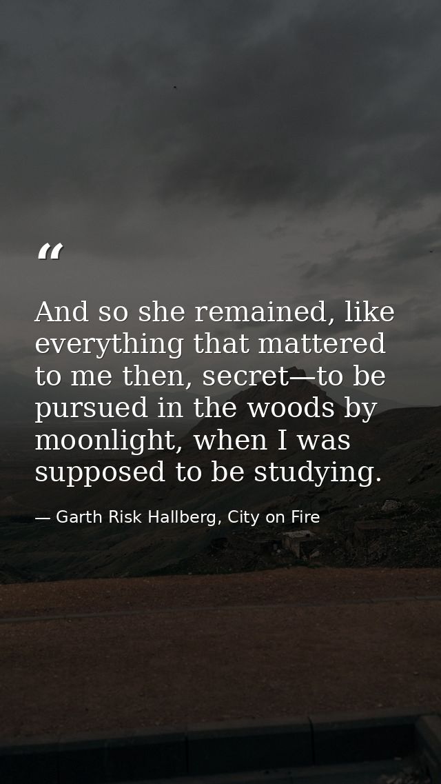 And so she remained, like everything that mattered to me then, secret—to be pursued in the woods by moonlight, when I wa — Garth Risk Hallberg, City on Fire
