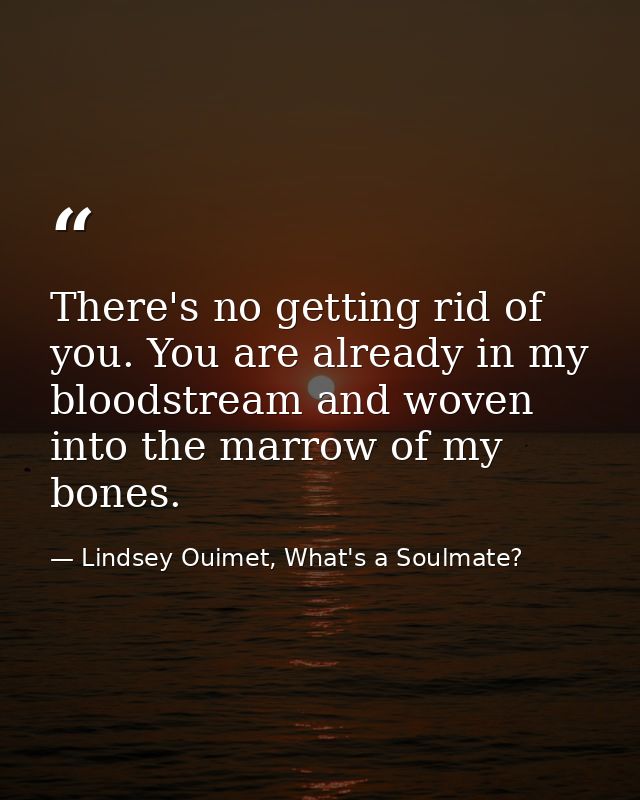 There's no getting rid of you. You are already in my bloodstream and woven into the marrow of my bones. — Lindsey Ouimet, What's a Soulmate?
