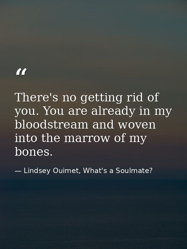 There's no getting rid of you. You are already in my bloodstream and woven into the marrow of my bones. — Lindsey Ouimet, What's a Soulmate?