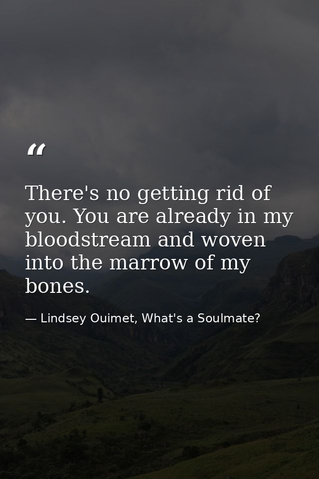There's no getting rid of you. You are already in my bloodstream and woven into the marrow of my bones. — Lindsey Ouimet, What's a Soulmate?