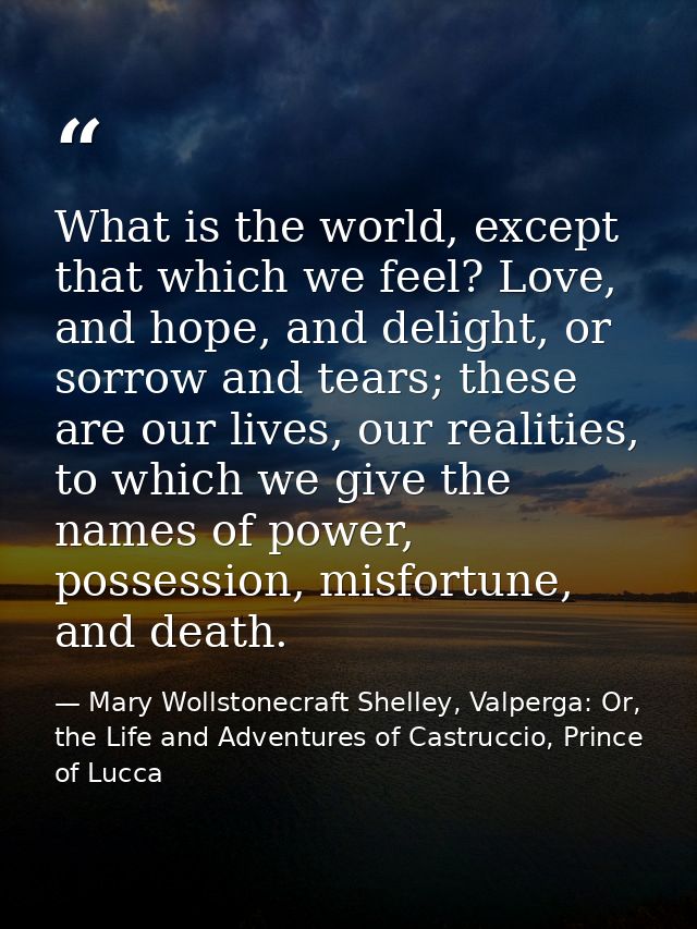 What is the world, except that which we feel? Love, and hope, and delight, or sorrow and tears; these are our lives, our — Mary Wollstonecraft Shelley, Valperga: Or, the Life and Adventures of Castruccio, Prince of Lucca