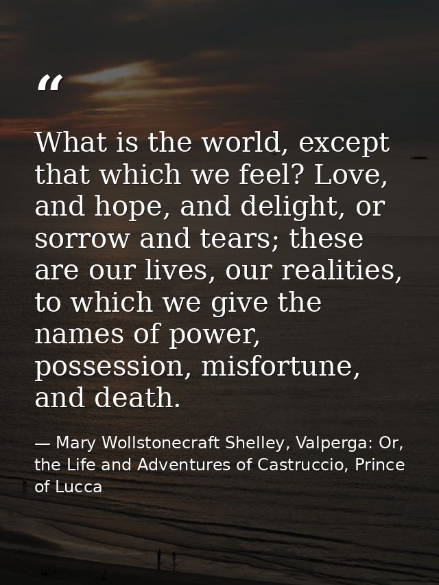 What is the world, except that which we feel? Love, and hope, and delight, or sorrow and tears; these are our lives, our — Mary Wollstonecraft Shelley, Valperga: Or, the Life and Adventures of Castruccio, Prince of Lucca