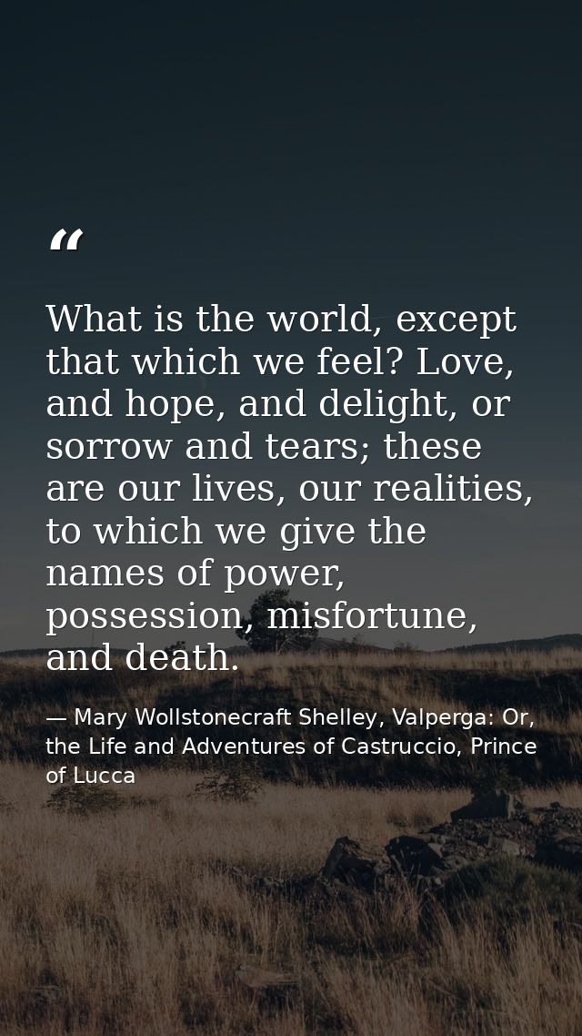What is the world, except that which we feel? Love, and hope, and delight, or sorrow and tears; these are our lives, our — Mary Wollstonecraft Shelley, Valperga: Or, the Life and Adventures of Castruccio, Prince of Lucca