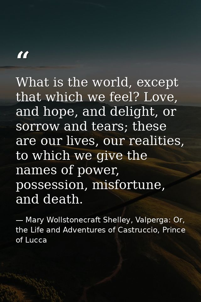 What is the world, except that which we feel? Love, and hope, and delight, or sorrow and tears; these are our lives, our — Mary Wollstonecraft Shelley, Valperga: Or, the Life and Adventures of Castruccio, Prince of Lucca