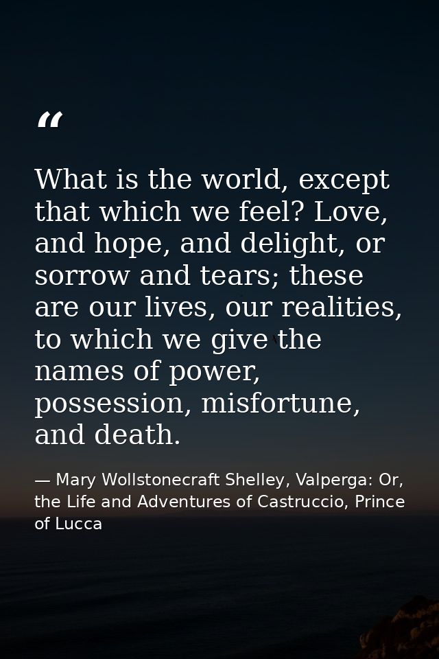 What is the world, except that which we feel? Love, and hope, and delight, or sorrow and tears; these are our lives, our — Mary Wollstonecraft Shelley, Valperga: Or, the Life and Adventures of Castruccio, Prince of Lucca