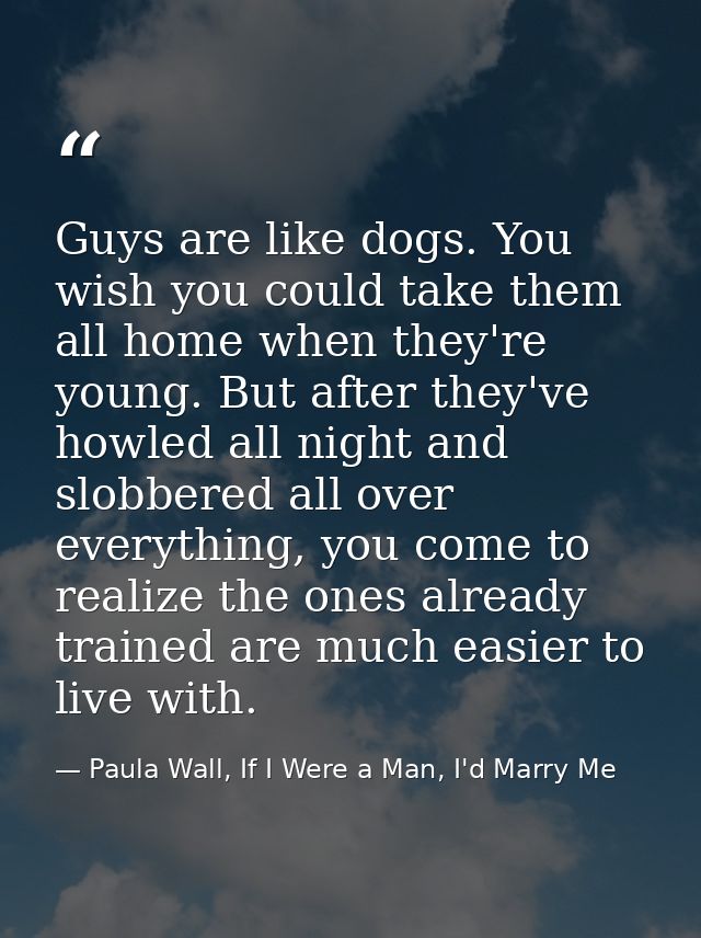 Guys are like dogs. You wish you could take them all home when they're young. But after they've howled all night and slo — Paula Wall, If I Were a Man, I'd Marry Me