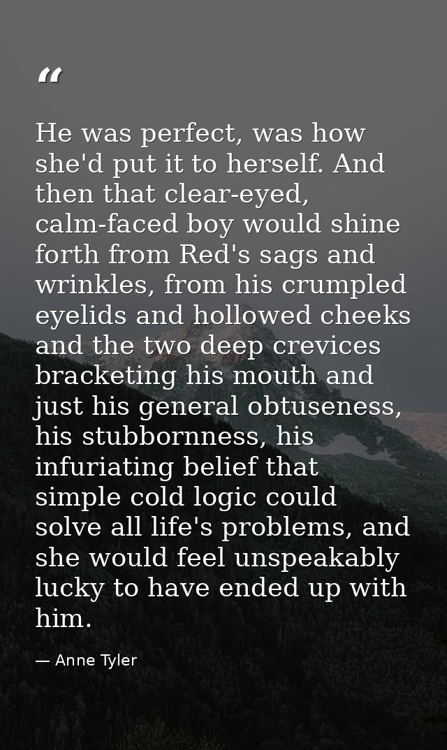 He was perfect, was how she'd put it to herself. And then that clear-eyed, calm-faced boy would shine forth from Red's s — Anne Tyler