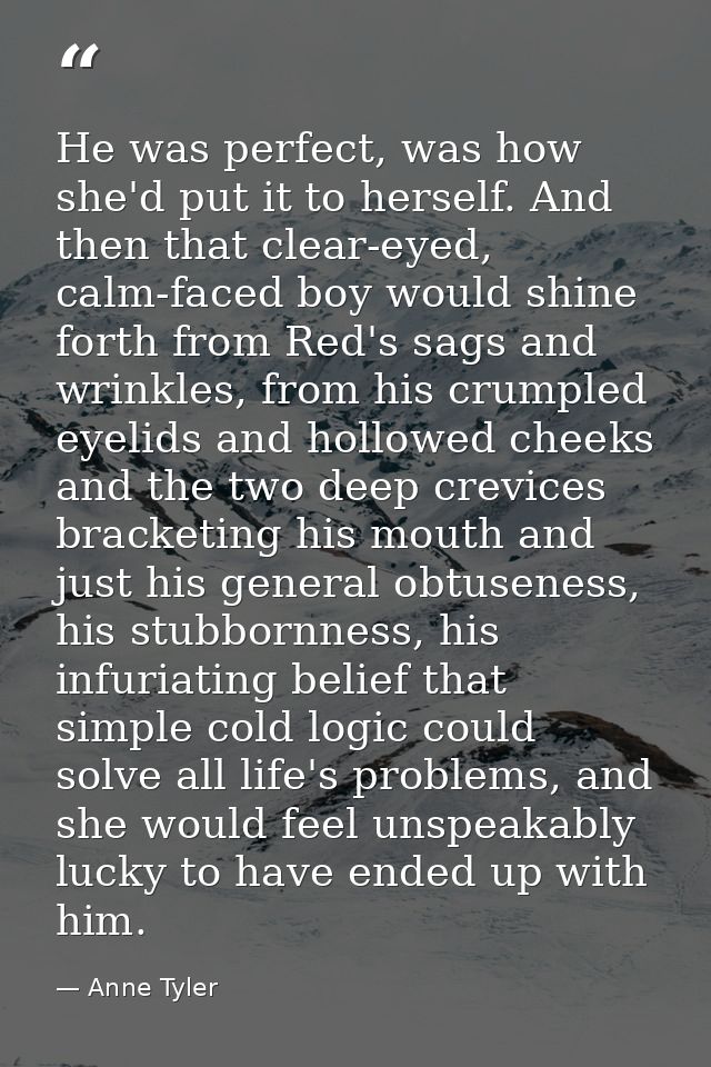 He was perfect, was how she'd put it to herself. And then that clear-eyed, calm-faced boy would shine forth from Red's s — Anne Tyler