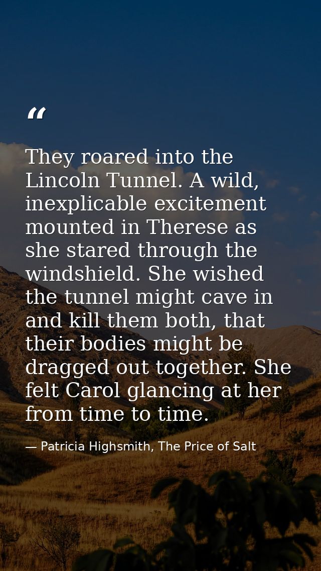 They roared into the Lincoln Tunnel. A wild, inexplicable excitement mounted in Therese as she stared through the windsh — Patricia Highsmith, The Price of Salt