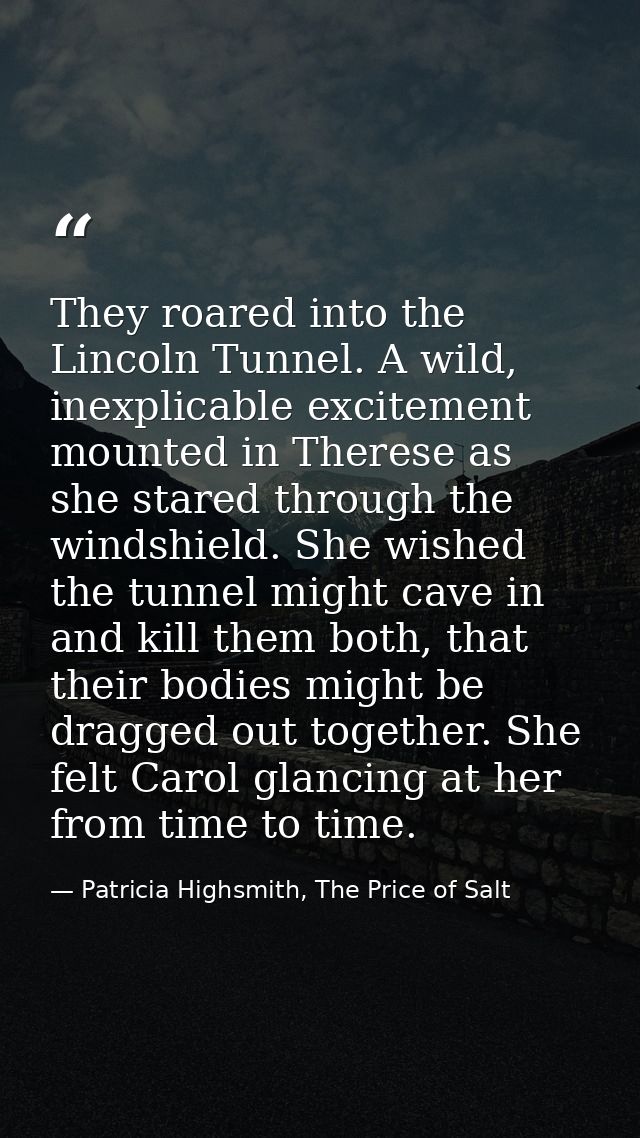 They roared into the Lincoln Tunnel. A wild, inexplicable excitement mounted in Therese as she stared through the windsh — Patricia Highsmith, The Price of Salt