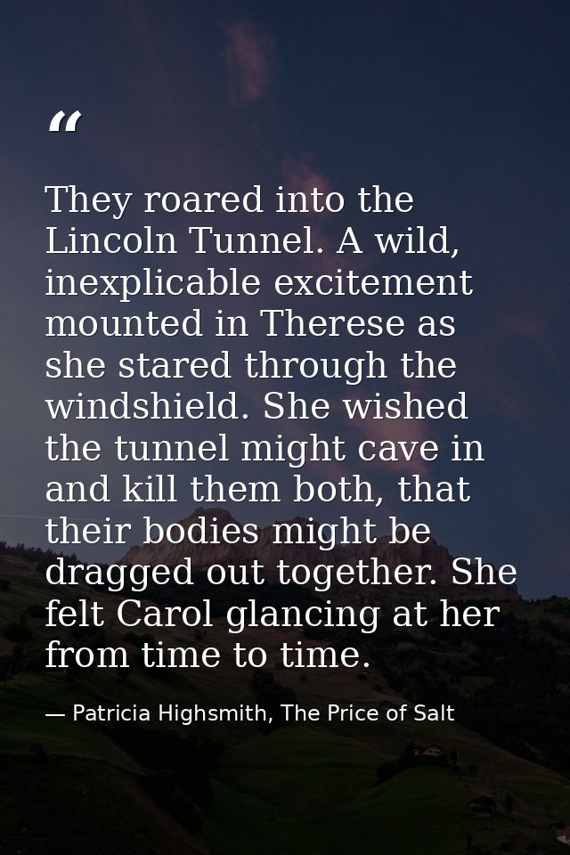 They roared into the Lincoln Tunnel. A wild, inexplicable excitement mounted in Therese as she stared through the windsh — Patricia Highsmith, The Price of Salt