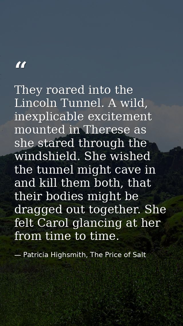 They roared into the Lincoln Tunnel. A wild, inexplicable excitement mounted in Therese as she stared through the windsh — Patricia Highsmith, The Price of Salt