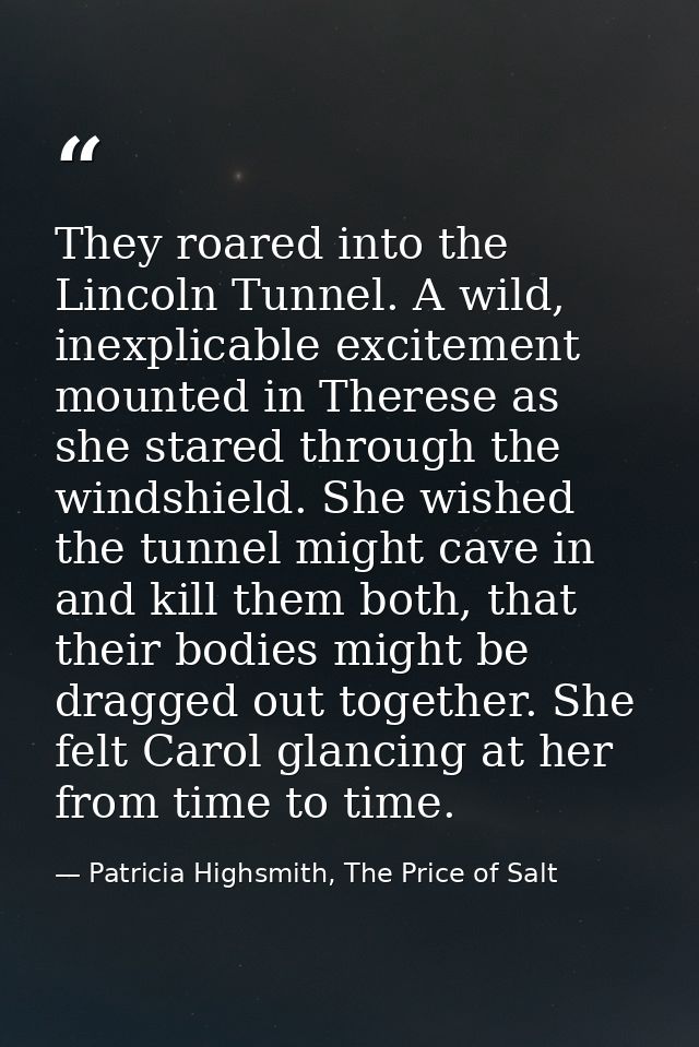 They roared into the Lincoln Tunnel. A wild, inexplicable excitement mounted in Therese as she stared through the windsh — Patricia Highsmith, The Price of Salt