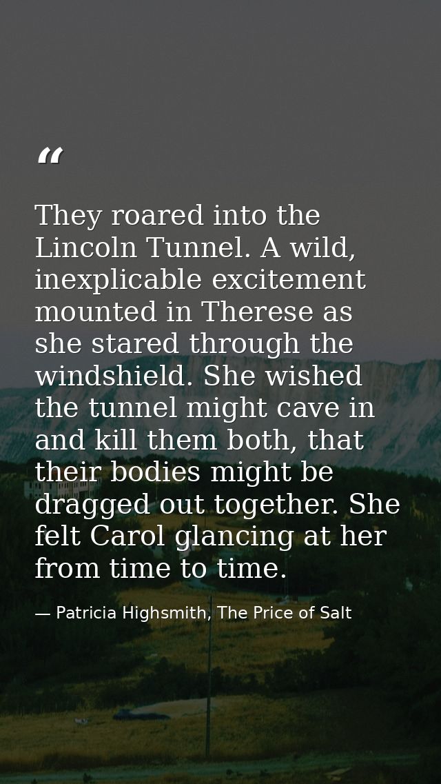 They roared into the Lincoln Tunnel. A wild, inexplicable excitement mounted in Therese as she stared through the windsh — Patricia Highsmith, The Price of Salt