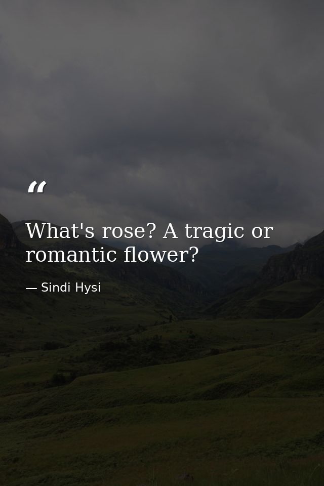 What's rose? A tragic or romantic flower? — Sindi Hysi