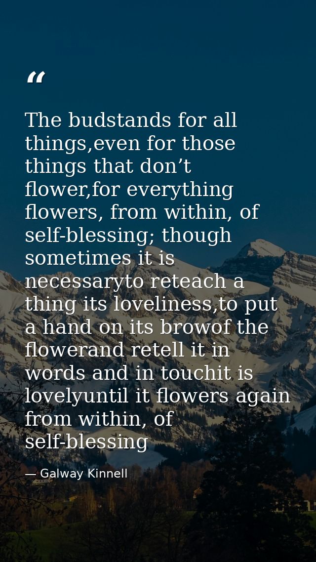 The budstands for all things,even for those things that don’t flower,for everything flowers, from within, of self-blessi — Galway Kinnell