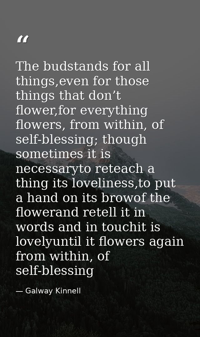 The budstands for all things,even for those things that don’t flower,for everything flowers, from within, of self-blessi — Galway Kinnell