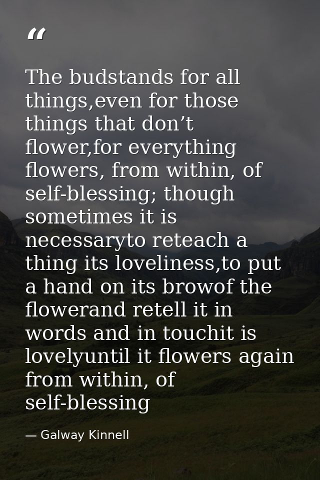 The budstands for all things,even for those things that don’t flower,for everything flowers, from within, of self-blessi — Galway Kinnell