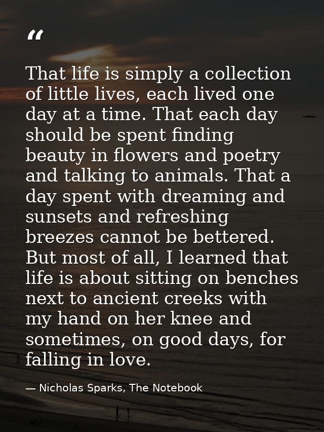 That life is simply a collection of little lives, each lived one day at a time. That each day should be spent finding be — Nicholas Sparks, The Notebook