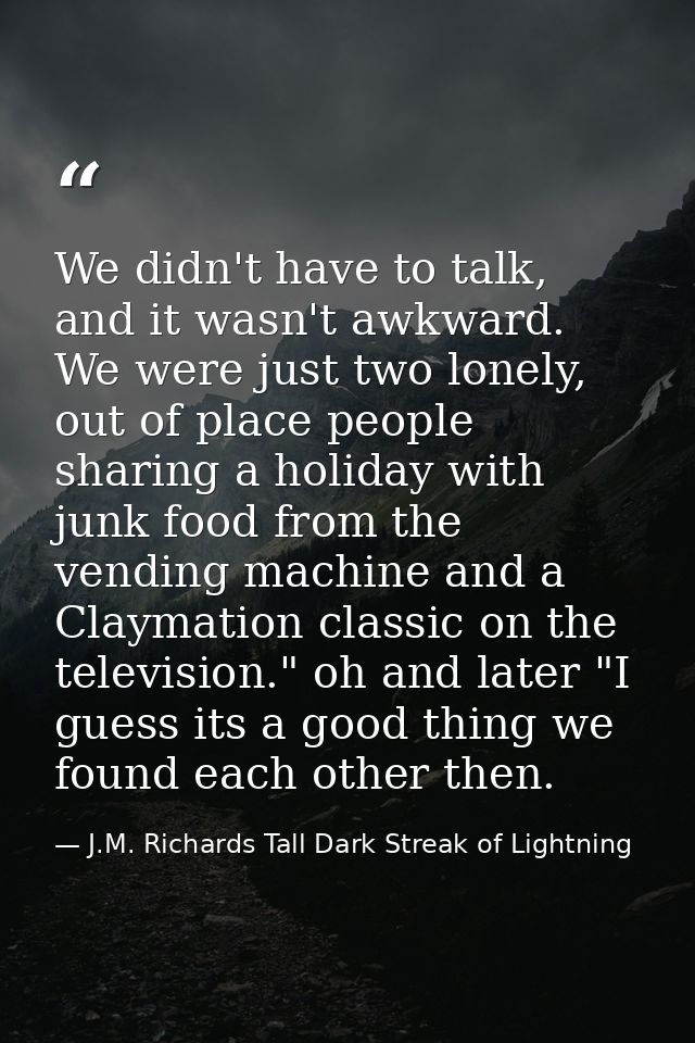 We didn't have to talk, and it wasn't awkward. We were just two lonely, out of place people sharing a holiday with junk  — J.M. Richards Tall Dark Streak of Lightning