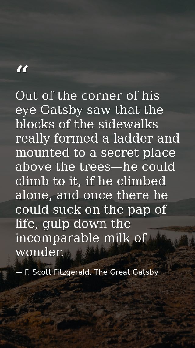Out of the corner of his eye Gatsby saw that the blocks of the sidewalks really formed a ladder and mounted to a secret  — F. Scott Fitzgerald, The Great Gatsby