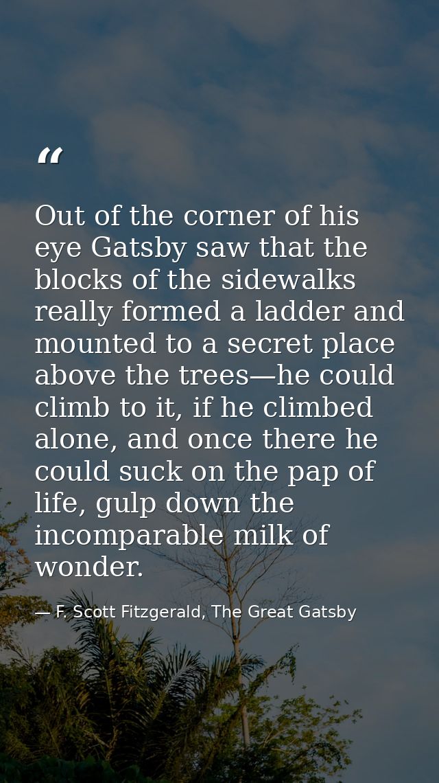 Out of the corner of his eye Gatsby saw that the blocks of the sidewalks really formed a ladder and mounted to a secret  — F. Scott Fitzgerald, The Great Gatsby