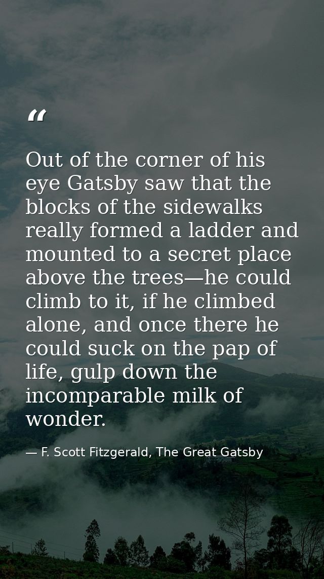Out of the corner of his eye Gatsby saw that the blocks of the sidewalks really formed a ladder and mounted to a secret  — F. Scott Fitzgerald, The Great Gatsby